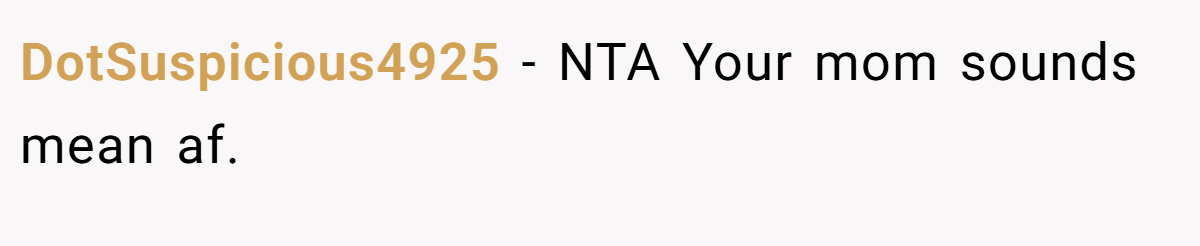 DotSuspicious4925 − NTA Your mom sounds mean af.
