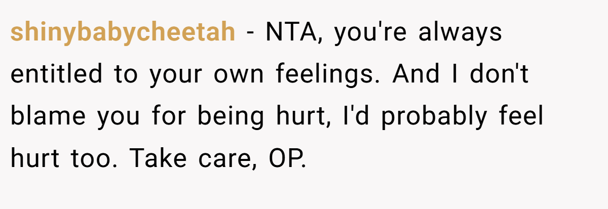 shinybabycheetah − NTA, you're always entitled to your own feelings. And I don't blame you for being hurt, I'd probably feel hurt too. Take care, OP.