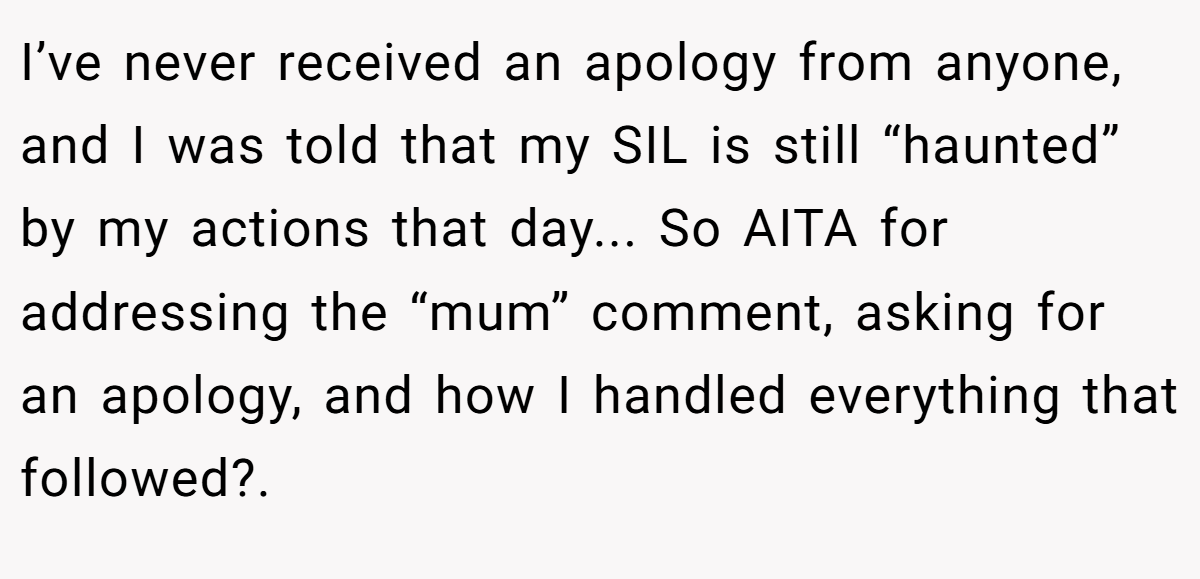 I’ve never received an apology from anyone, and I was told that my SIL is still “haunted” by my actions that day... So AITA for addressing the “mum” comment, asking for an apology, and how I handled everything that followed?. 