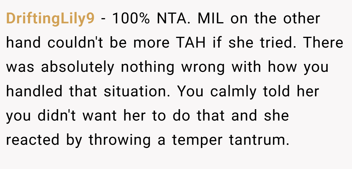 DriftingLily9 − 100% NTA. MIL on the other hand couldn't be more TAH if she tried. There was absolutely nothing wrong with how you handled that situation. You calmly told her you didn't want her to do that and she reacted by throwing a temper tantrum.