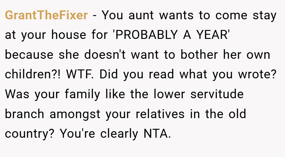 GrantTheFixer − You aunt wants to come stay at your house for 'PROBABLY A YEAR' because she doesn't want to bother her own children?! WTF. Did you read what you wrote? Was your family like the lower servitude branch amongst your relatives in the old country? You're clearly NTA.