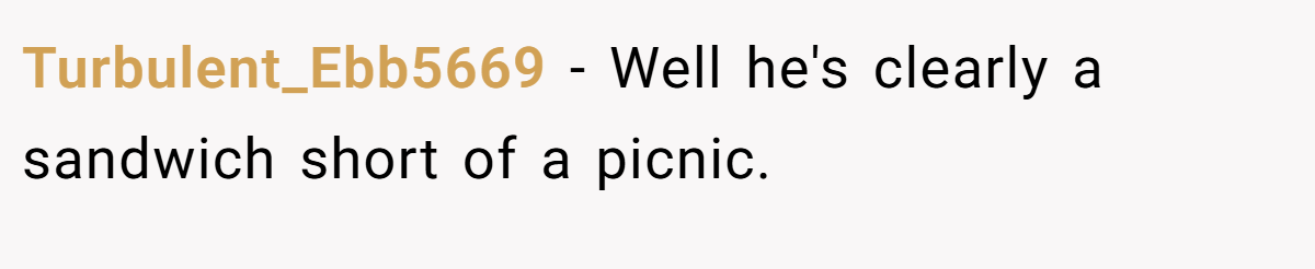 Turbulent_Ebb5669 − Well he's clearly a sandwich short of a picnic.