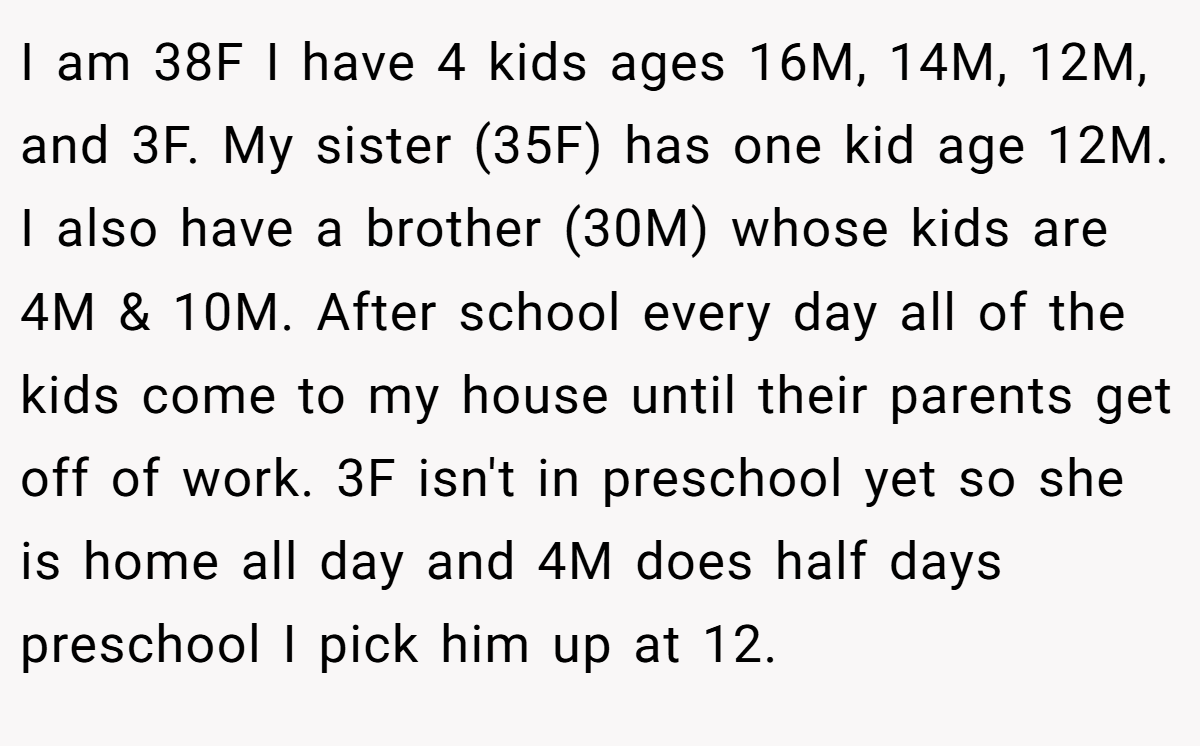 I am 38F I have 4 kids ages 16M, 14M, 12M, and 3F. My sister (35F) has one kid age 12M. I also have a brother (30M) whose kids are 4M & 10M. After school every day all of the kids come to my house until their parents get off of work. 3F isn't in preschool yet so she is home all day and 4M does half days preschool I pick him up at 12.