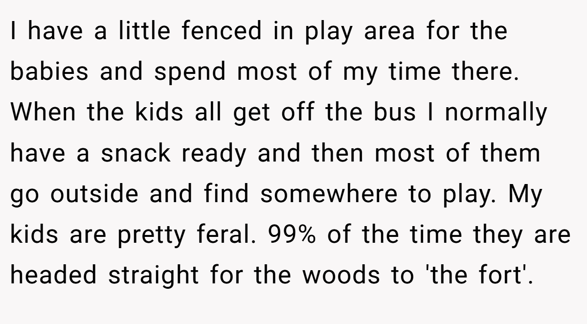I have a little fenced in play area for the babies and spend most of my time there. When the kids all get off the bus I normally have a snack ready and then most of them go outside and find somewhere to play. My kids are pretty feral. 99% of the time they are headed straight for the woods to 'the fort'.