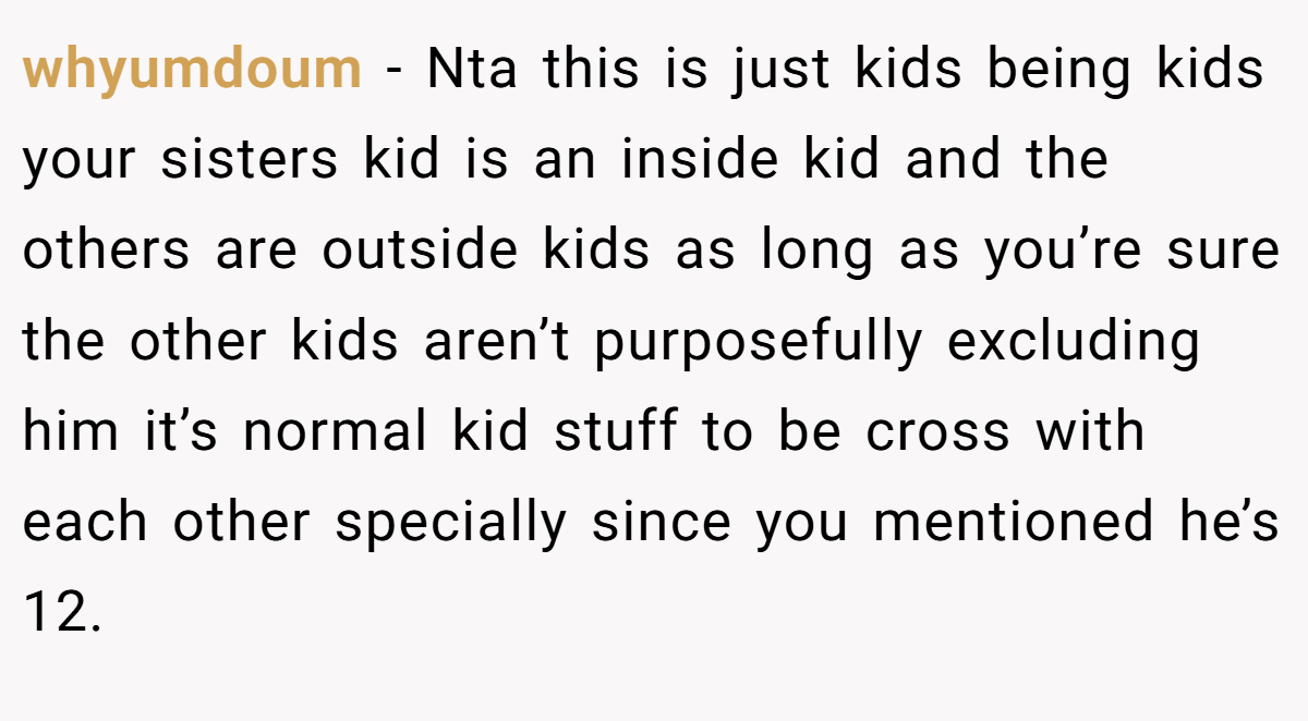 whyumdoum − Nta this is just kids being kids your sisters kid is an inside kid and the others are outside kids as long as you’re sure the other kids aren’t purposefully excluding him it’s normal kid stuff to be cross with each other specially since you mentioned he’s 12.