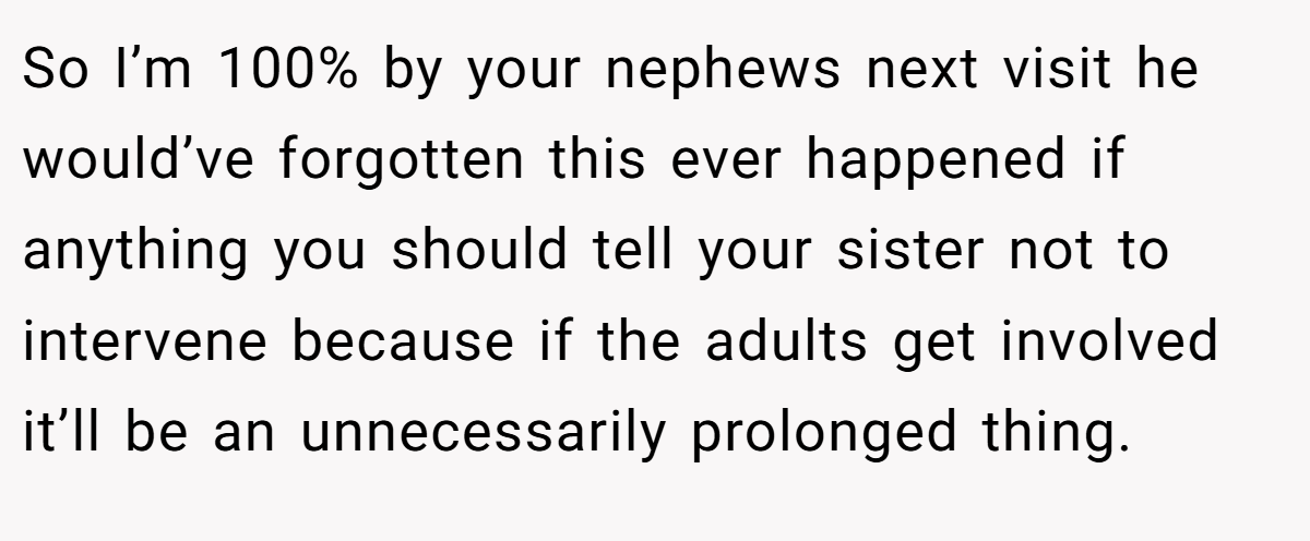 So I’m 100% by your nephews next visit he would’ve forgotten this ever happened if anything you should tell your sister not to intervene because if the adults get involved it’ll be an unnecessarily prolonged thing.