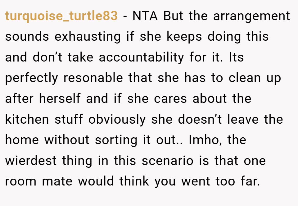 turquoise_turtle83 − NTA But the arrangement sounds exhausting if she keeps doing this and don’t take accountability for it. Its perfectly resonable that she has to clean up after herself and if she cares about the kitchen stuff obviously she doesn’t leave the home without sorting it out.. Imho, the wierdest thing in this scenario is that one room mate would think you went too far.