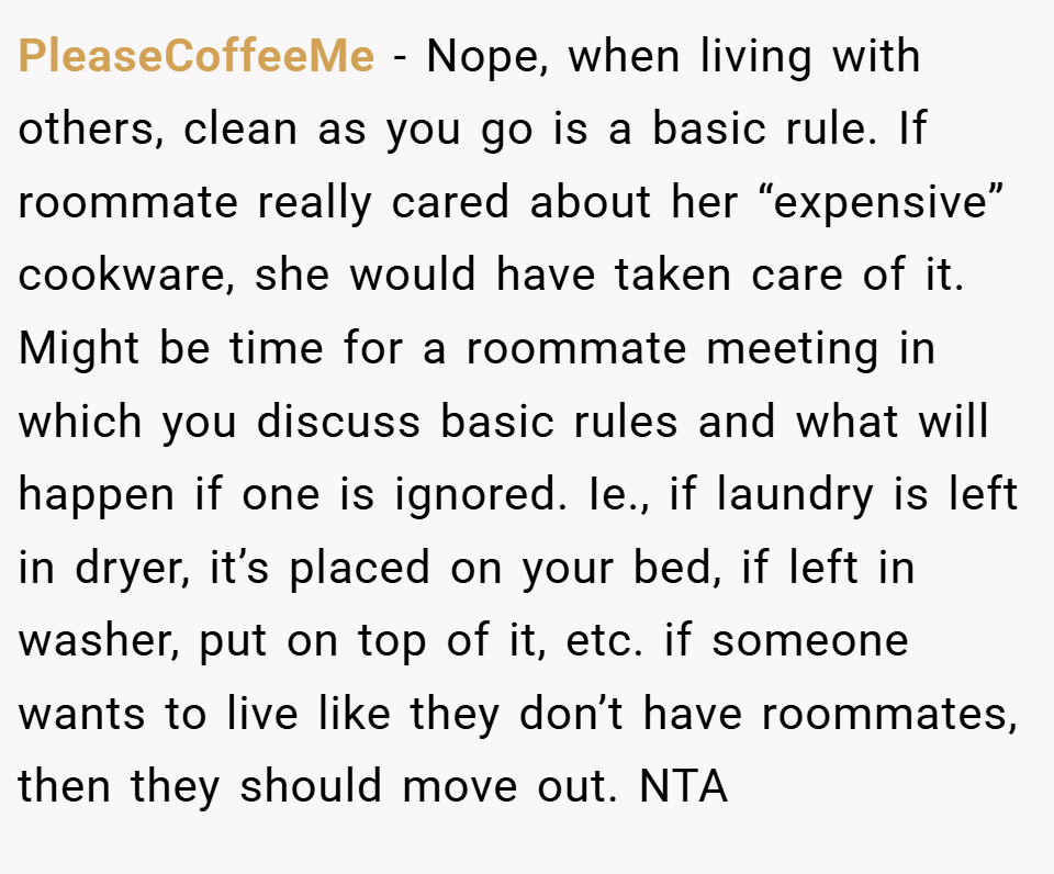PleaseCoffeeMe − Nope, when living with others, clean as you go is a basic rule. If roommate really cared about her “expensive” cookware, she would have taken care of it. Might be time for a roommate meeting in which you discuss basic rules and what will happen if one is ignored. Ie., if laundry is left in dryer, it’s placed on your bed, if left in washer, put on top of it, etc. if someone wants to live like they don’t have roommates, then they should move out. NTA