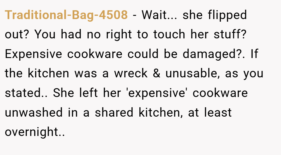 Traditional-Bag-4508 − Wait... she flipped out? You had no right to touch her stuff? Expensive cookware could be damaged?. If the kitchen was a wreck & unusable, as you stated.. She left her 'expensive' cookware unwashed in a shared kitchen, at least overnight..