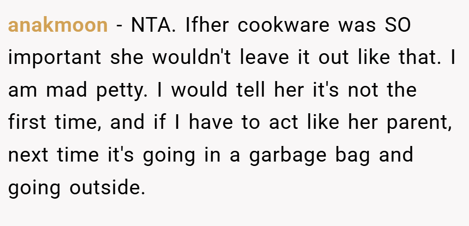 anakmoon − NTA. Ifher cookware was SO important she wouldn't leave it out like that. I am mad petty. I would tell her it's not the first time, and if I have to act like her parent, next time it's going in a garbage bag and going outside.