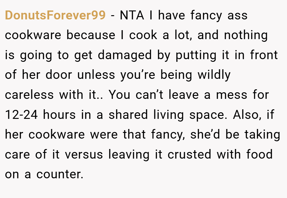 DonutsForever99 − NTA I have fancy ass cookware because I cook a lot, and nothing is going to get damaged by putting it in front of her door unless you’re being wildly careless with it.. You can’t leave a mess for 12-24 hours in a shared living space. Also, if her cookware were that fancy, she’d be taking care of it versus leaving it crusted with food on a counter.