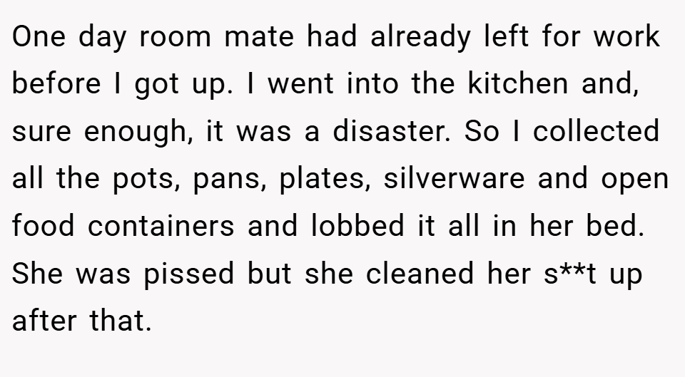 One day room mate had already left for work before I got up. I went into the kitchen and, sure enough, it was a disaster. So I collected all the pots, pans, plates, silverware and open food containers and lobbed it all in her bed. She was pissed but she cleaned her s**t up after that.