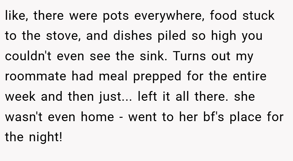 like, there were pots everywhere, food stuck to the stove, and dishes piled so high you couldn't even see the sink. Turns out my roommate had meal prepped for the entire week and then just... left it all there. she wasn't even home - went to her bf's place for the night!
