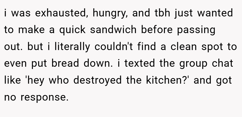 i was exhausted, hungry, and tbh just wanted to make a quick sandwich before passing out. but i literally couldn't find a clean spot to even put bread down. i texted the group chat like 'hey who destroyed the kitchen?' and got no response.
