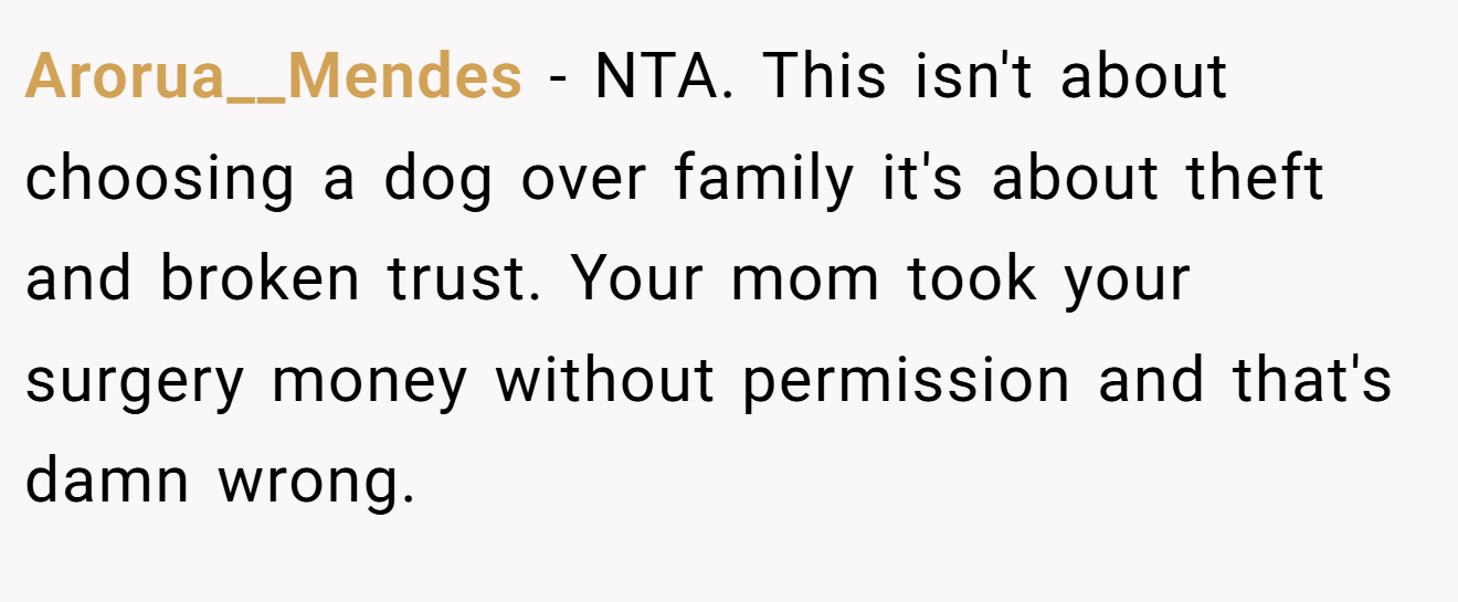 Arorua__Mendes − NTA. This isn't about choosing a dog over family it's about theft and broken trust. Your mom took your surgery money without permission and that's damn wrong.