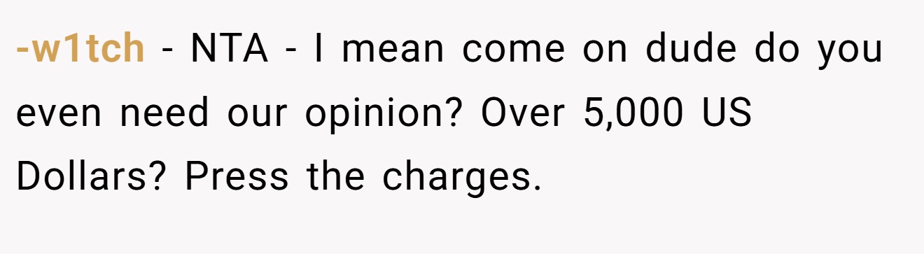 -w1tch − NTA - I mean come on dude do you even need our opinion? Over 5,000 US Dollars? Press the charges.