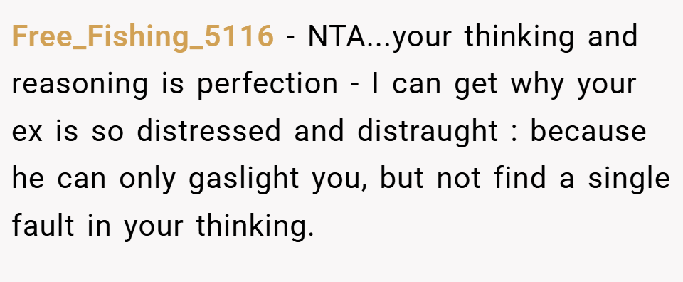 Free_Fishing_5116 − NTA...your thinking and reasoning is perfection - I can get why your ex is so distressed and distraught : because he can only gaslight you, but not find a single fault in your thinking.