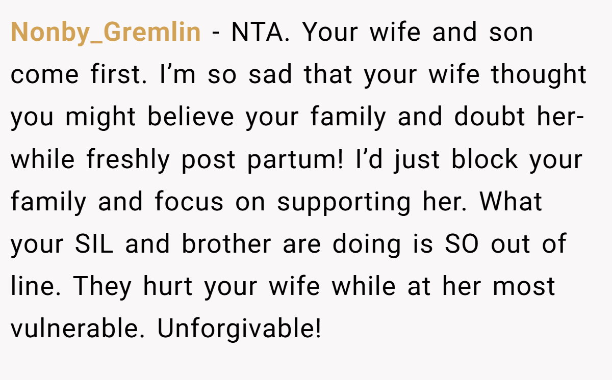 Nonby_Gremlin − NTA. Your wife and son come first. I’m so sad that your wife thought you might believe your family and doubt her- while freshly post partum! I’d just block your family and focus on supporting her. What your SIL and brother are doing is SO out of line. They hurt your wife while at her most vulnerable. Unforgivable!