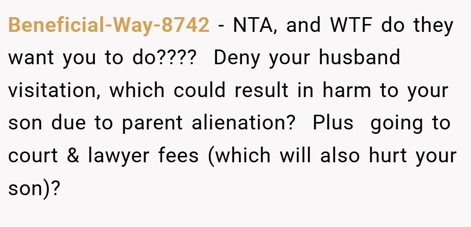 Beneficial-Way-8742 − NTA, and WTF do they want you to do????  Deny your husband visitation, which could result in harm to your son due to parent alienation?  Plus  going to court & lawyer fees (which will also hurt your son)? 