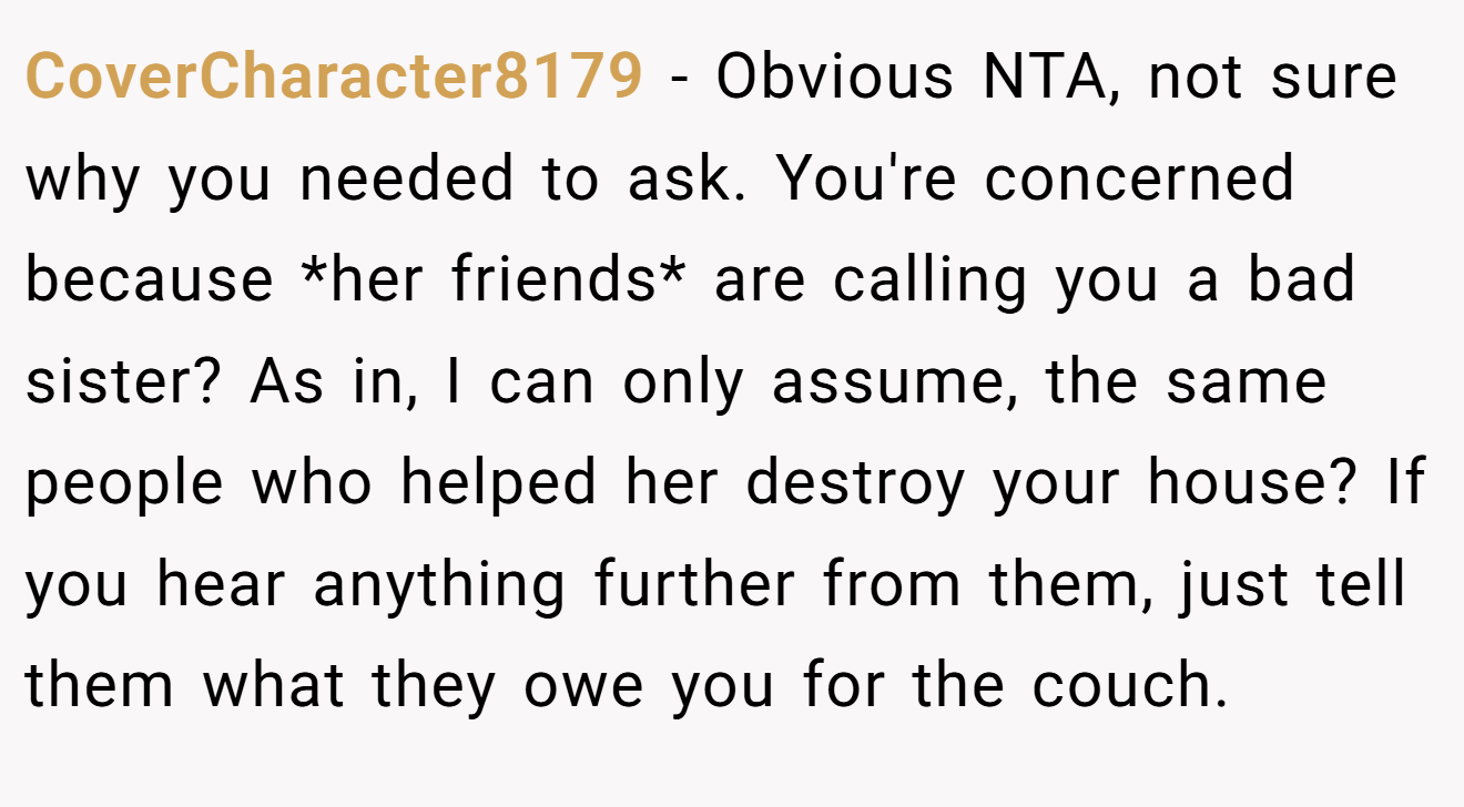 CoverCharacter8179 − Obvious NTA, not sure why you needed to ask. You're concerned because *her friends* are calling you a bad sister? As in, I can only assume, the same people who helped her destroy your house? If you hear anything further from them, just tell them what they owe you for the couch.