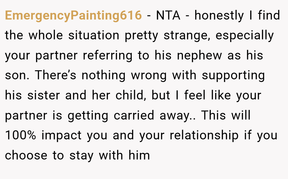 EmergencyPainting616 − NTA - honestly I find the whole situation pretty strange, especially your partner referring to his nephew as his son. There’s nothing wrong with supporting his sister and her child, but I feel like your partner is getting carried away.. This will 100% impact you and your relationship if you choose to stay with him