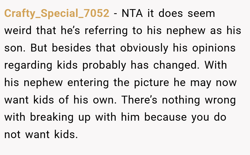Crafty_Special_7052 − NTA it does seem weird that he’s referring to his nephew as his son. But besides that obviously his opinions regarding kids probably has changed. With his nephew entering the picture he may now want kids of his own. There’s nothing wrong with breaking up with him because you do not want kids.