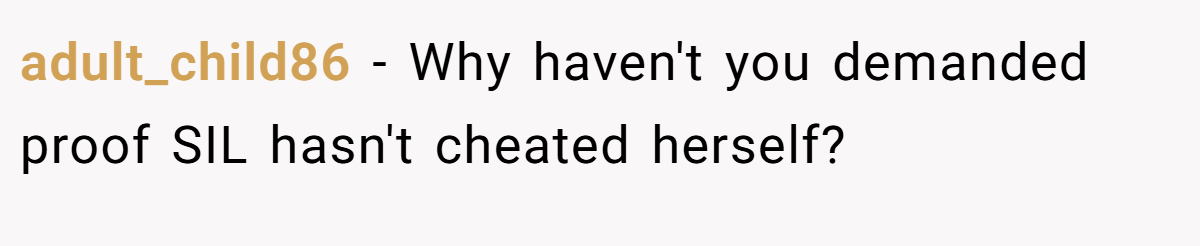 adult_child86 − Why haven't you demanded proof SIL hasn't cheated herself?