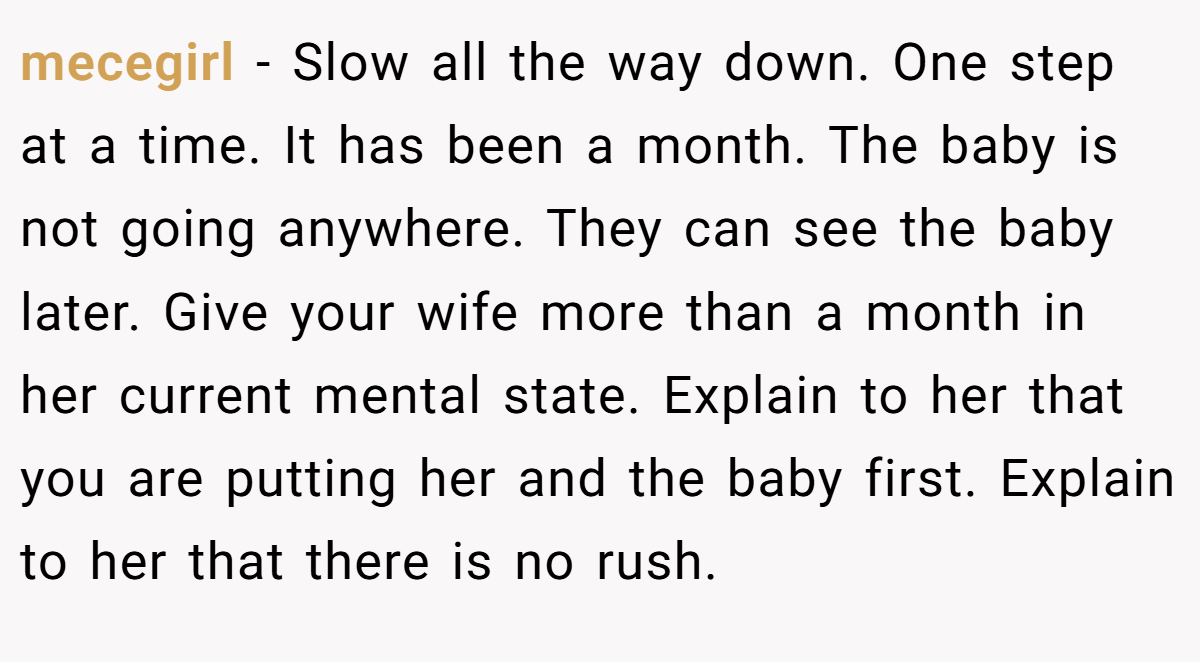 mecegirl − Slow all the way down. One step at a time. It has been a month. The baby is not going anywhere. They can see the baby later. Give your wife more than a month in her current mental state. Explain to her that you are putting her and the baby first. Explain to her that there is no rush.