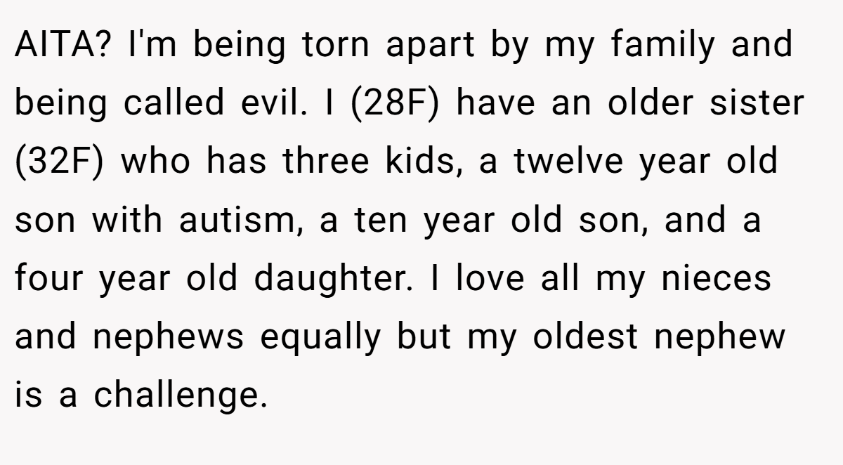 AITA? I'm being torn apart by my family and being called evil. I (28F) have an older sister (32F) who has three kids, a twelve year old son with autism, a ten year old son, and a four year old daughter. I love all my nieces and nephews equally but my oldest nephew is a challenge.