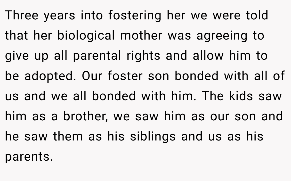 Three years into fostering her we were told that her biological mother was agreeing to give up all parental rights and allow him to be adopted. Our foster son bonded with all of us and we all bonded with him. The kids saw him as a brother, we saw him as our son and he saw them as his siblings and us as his parents.