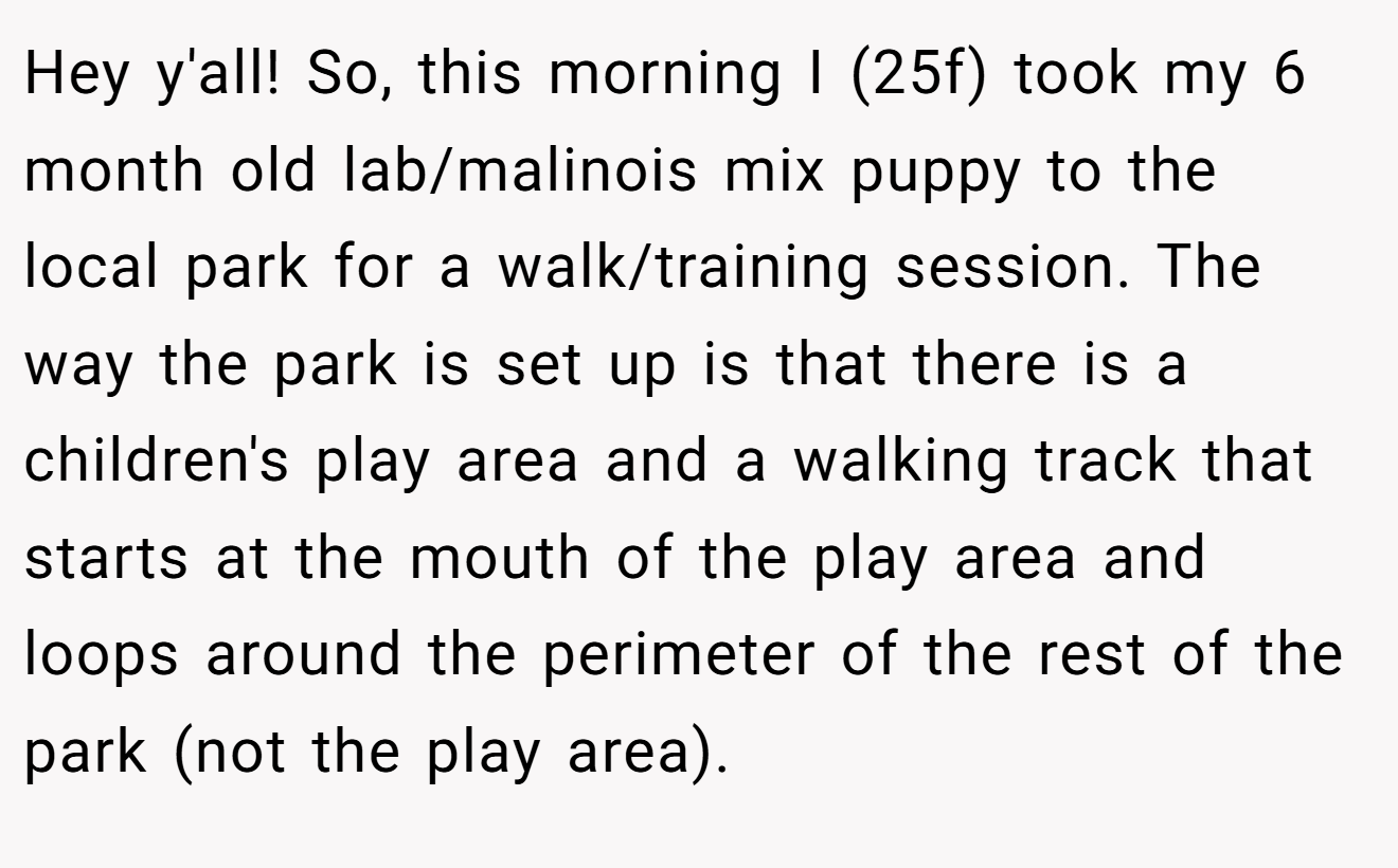 Hey y'all! So, this morning I (25f) took my 6 month old lab/malinois mix puppy to the local park for a walk/training session. The way the park is set up is that there is a children's play area and a walking track that starts at the mouth of the play area and loops around the perimeter of the rest of the park (not the play area).