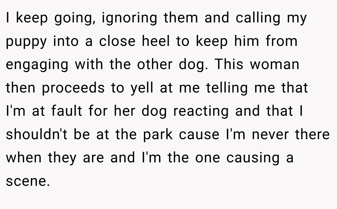 I keep going, ignoring them and calling my puppy into a close heel to keep him from engaging with the other dog. This woman then proceeds to yell at me telling me that I'm at fault for her dog reacting and that I shouldn't be at the park cause I'm never there when they are and I'm the one causing a scene.