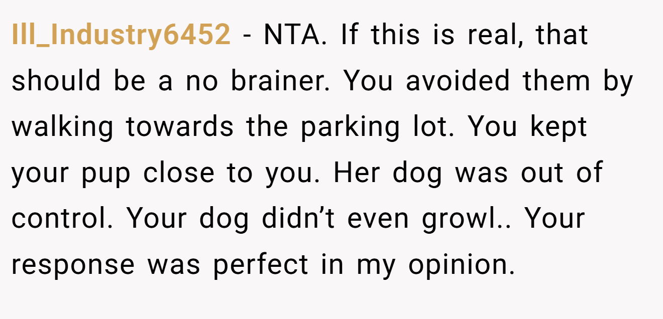 Ill_Industry6452 − NTA. If this is real, that should be a no brainer. You avoided them by walking towards the parking lot. You kept your pup close to you. Her dog was out of control. Your dog didn’t even growl.. Your response was perfect in my opinion.