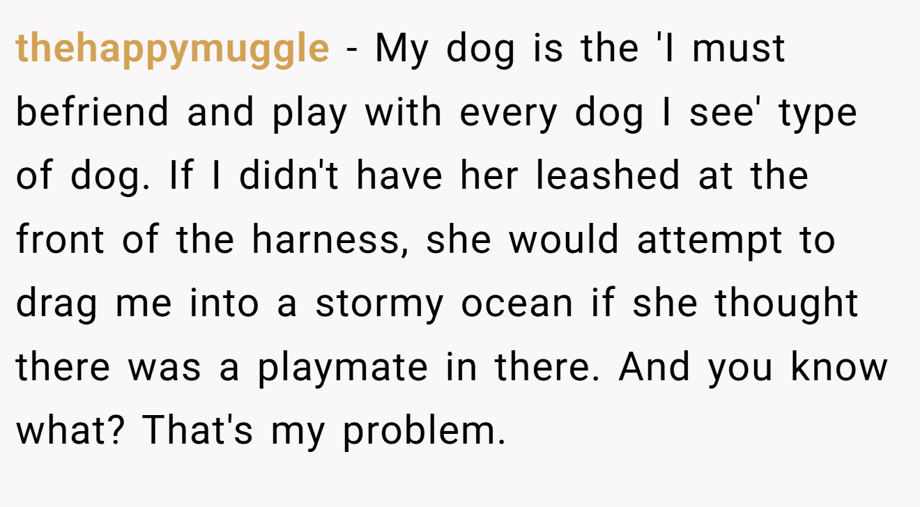 thehappymuggle − My dog is the 'I must befriend and play with every dog I see' type of dog. If I didn't have her leashed at the front of the harness, she would attempt to drag me into a stormy ocean if she thought there was a playmate in there. And you know what? That's my problem.