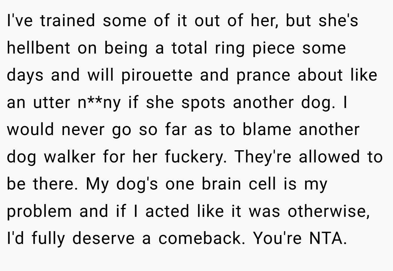 I've trained some of it out of her, but she's hellbent on being a total ring piece some days and will pirouette and prance about like an utter n**ny if she spots another dog. I would never go so far as to blame another dog walker for her fuckery. They're allowed to be there. My dog's one brain cell is my problem and if I acted like it was otherwise, I'd fully deserve a comeback. You're NTA.