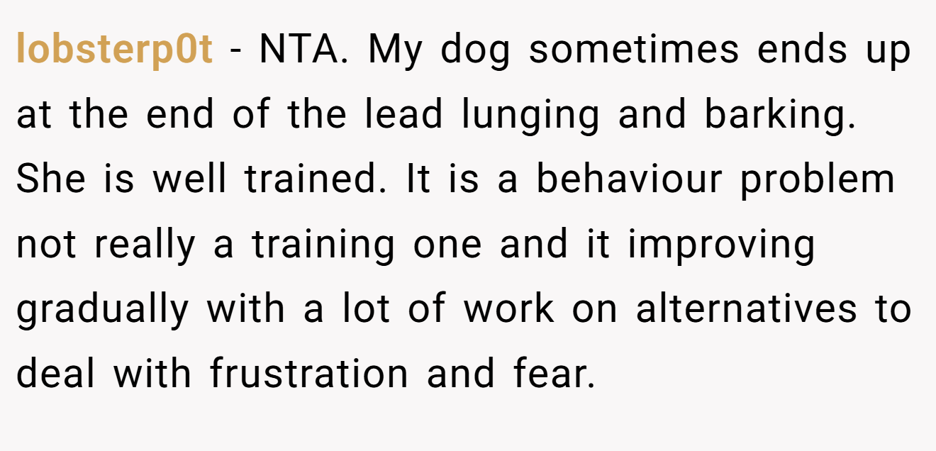 lobsterp0t − NTA. My dog sometimes ends up at the end of the lead lunging and barking. She is well trained. It is a behaviour problem not really a training one and it improving gradually with a lot of work on alternatives to deal with frustration and fear.