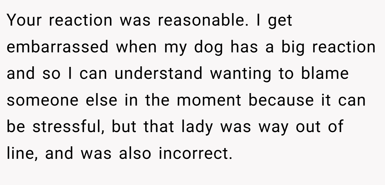 Your reaction was reasonable. I get embarrassed when my dog has a big reaction and so I can understand wanting to blame someone else in the moment because it can be stressful, but that lady was way out of line, and was also incorrect.
