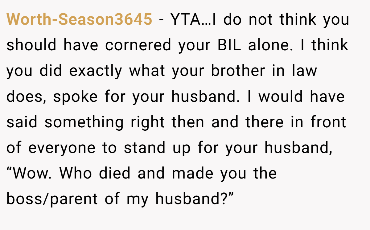 Worth-Season3645 − YTA…I do not think you should have cornered your BIL alone. I think you did exactly what your brother in law does, spoke for your husband. I would have said something right then and there in front of everyone to stand up for your husband, “Wow. Who died and made you the boss/parent of my husband?”
