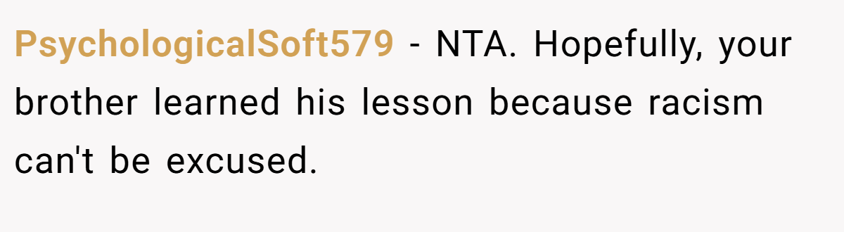 PsychologicalSoft579 − NTA. Hopefully, your brother learned his lesson because racism can't be excused.