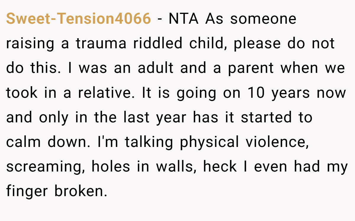 Sweet-Tension4066 − NTA As someone raising a trauma riddled child, please do not do this. I was an adult and a parent when we took in a relative. It is going on 10 years now and only in the last year has it started to calm down. I'm talking physical violence, screaming, holes in walls, heck I even had my finger broken.