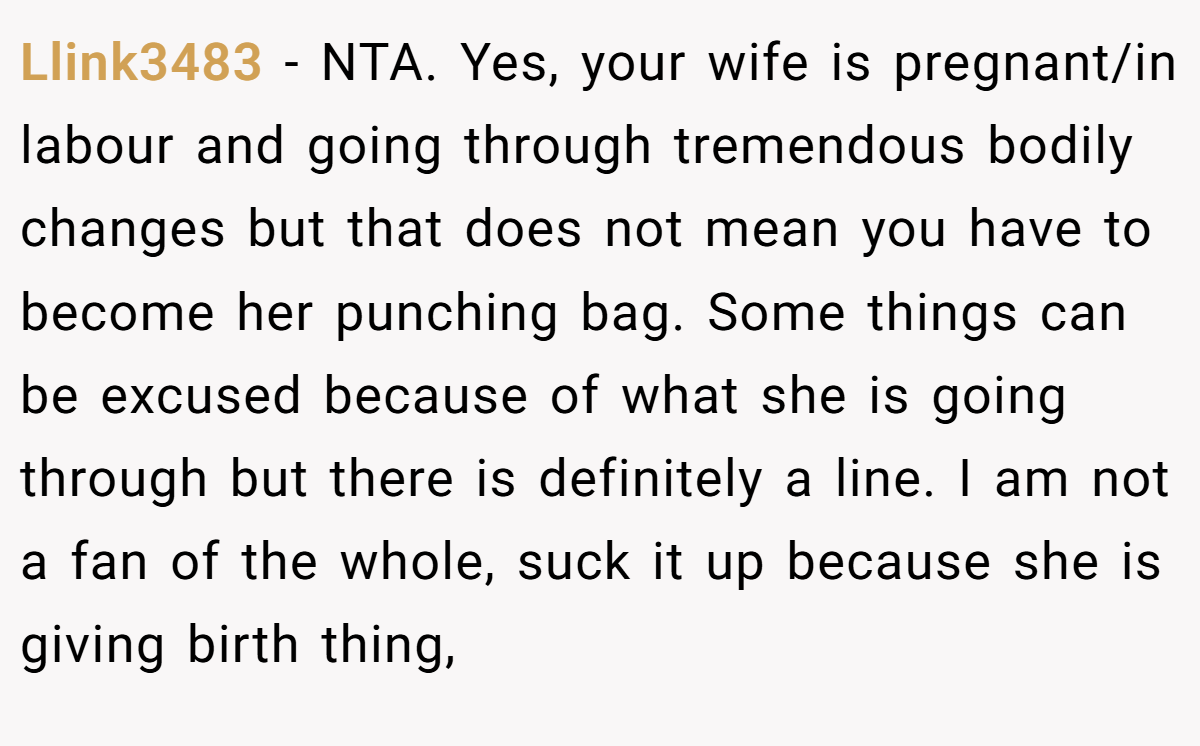 Llink3483 − NTA. Yes, your wife is pregnant/in labour and going through tremendous bodily changes but that does not mean you have to become her punching bag. Some things can be excused because of what she is going through but there is definitely a line. I am not a fan of the whole, suck it up because she is giving birth thing,
