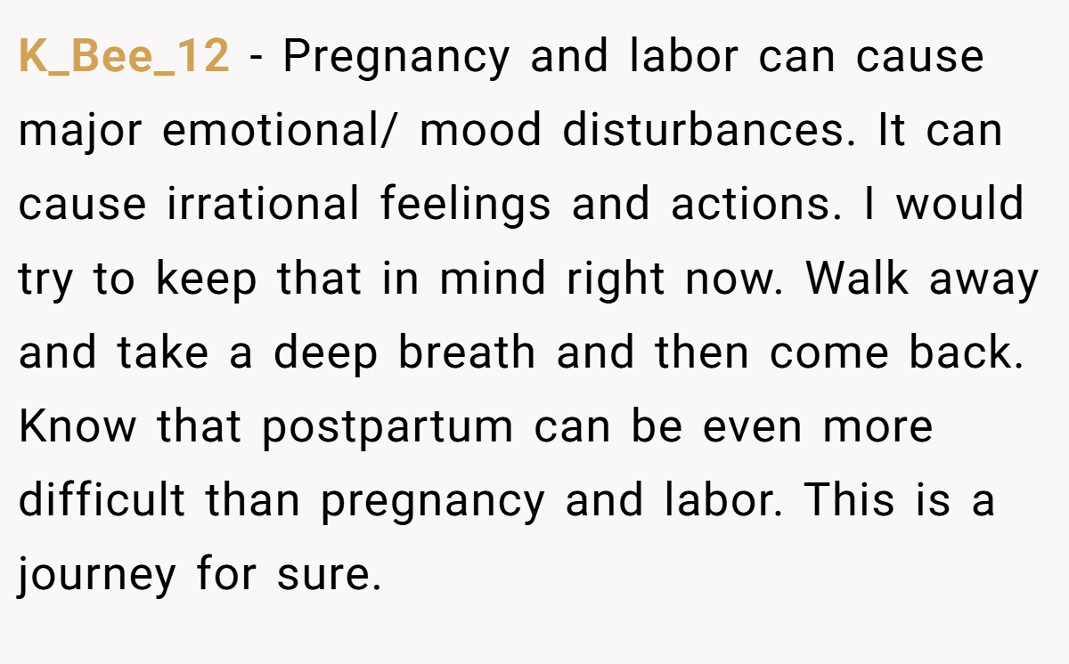K_Bee_12 − Pregnancy and labor can cause major emotional/ mood disturbances. It can cause irrational feelings and actions. I would try to keep that in mind right now. Walk away and take a deep breath and then come back. Know that postpartum can be even more difficult than pregnancy and labor. This is a journey for sure.