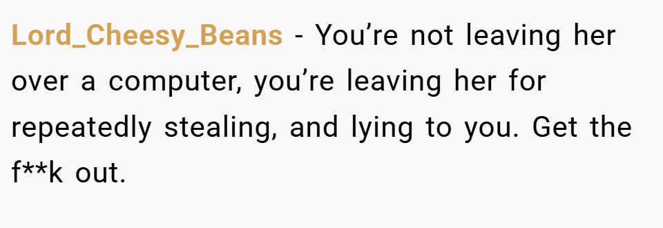 Lord_Cheesy_Beans − You’re not leaving her over a computer, you’re leaving her for repeatedly stealing, and lying to you. Get the f**k out.