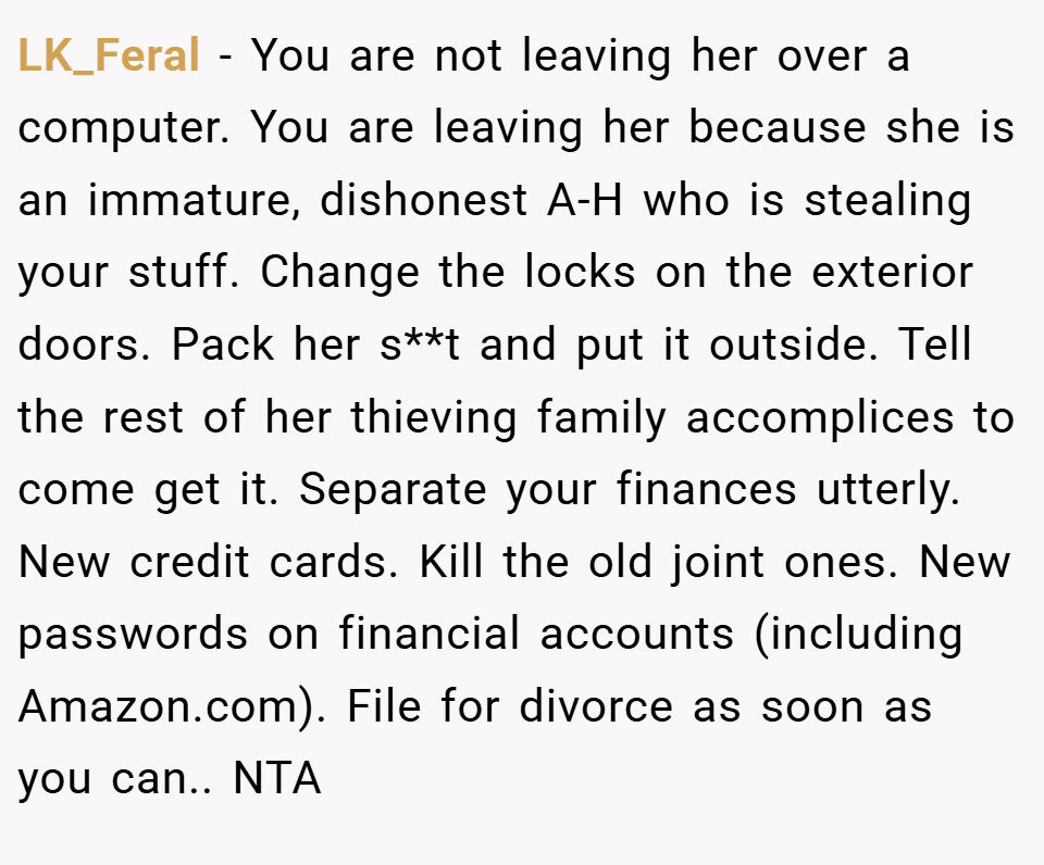 LK_Feral − You are not leaving her over a computer. You are leaving her because she is an immature, dishonest A-H who is stealing your stuff. Change the locks on the exterior doors. Pack her s**t and put it outside. Tell the rest of her thieving family accomplices to come get it. Separate your finances utterly. New credit cards. Kill the old joint ones. New passwords on financial accounts (including Amazon.com). File for divorce as soon as you can.. NTA