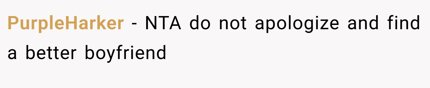 PurpleHarker − NTA do not apologize and find a better boyfriend