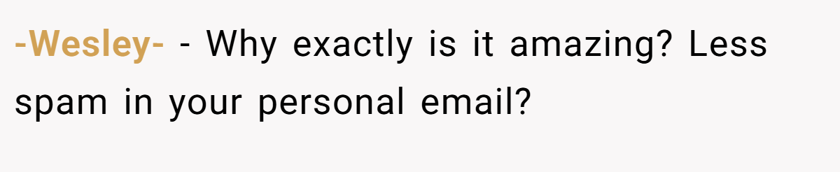 -Wesley- − Why exactly is it amazing? Less spam in your personal email?