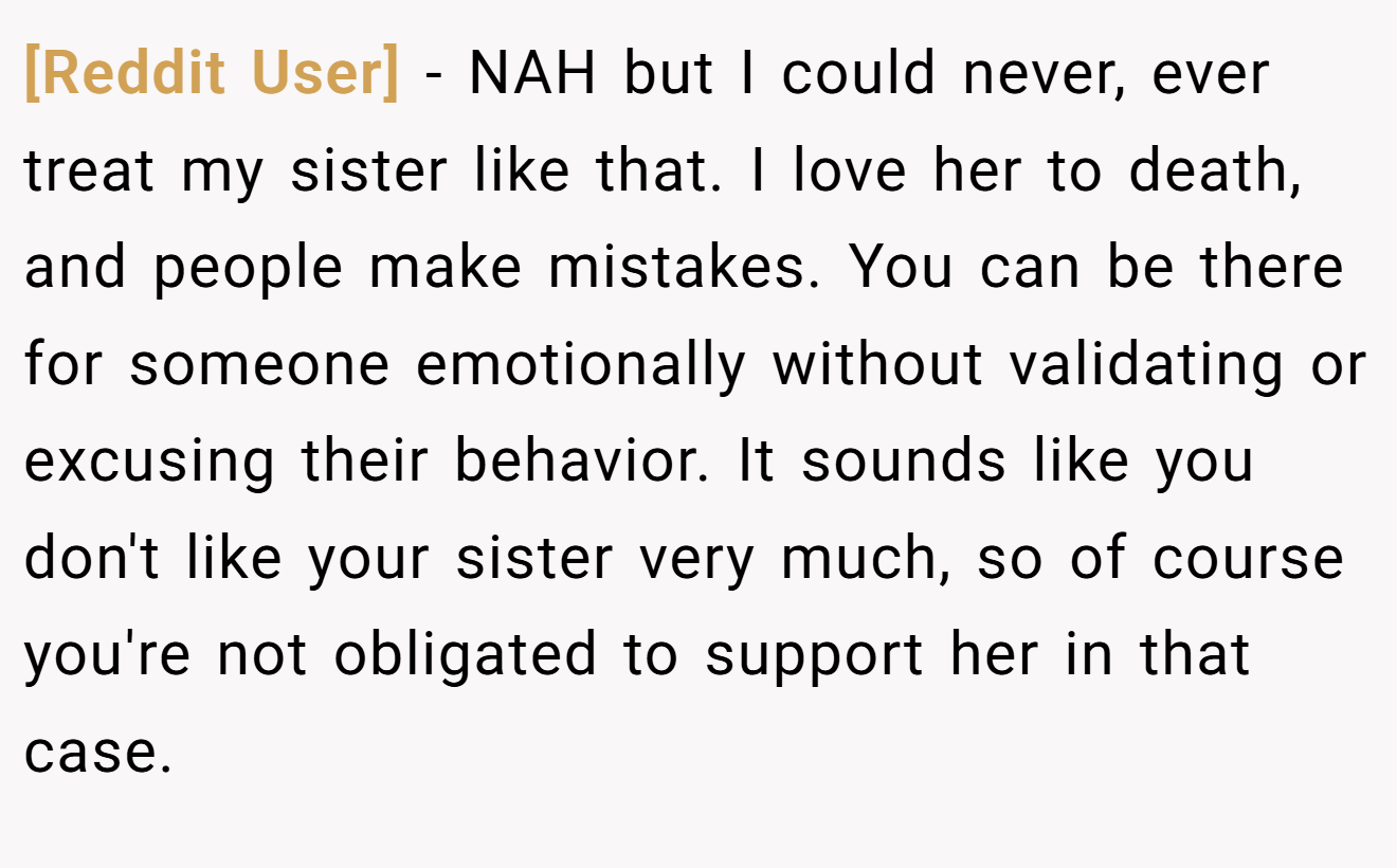 [Reddit User] − NAH but I could never, ever treat my sister like that. I love her to death, and people make mistakes. You can be there for someone emotionally without validating or excusing their behavior. It sounds like you don't like your sister very much, so of course you're not obligated to support her in that case.