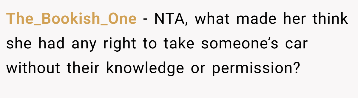 The_Bookish_One − NTA, what made her think she had any right to take someone’s car without their knowledge or permission?