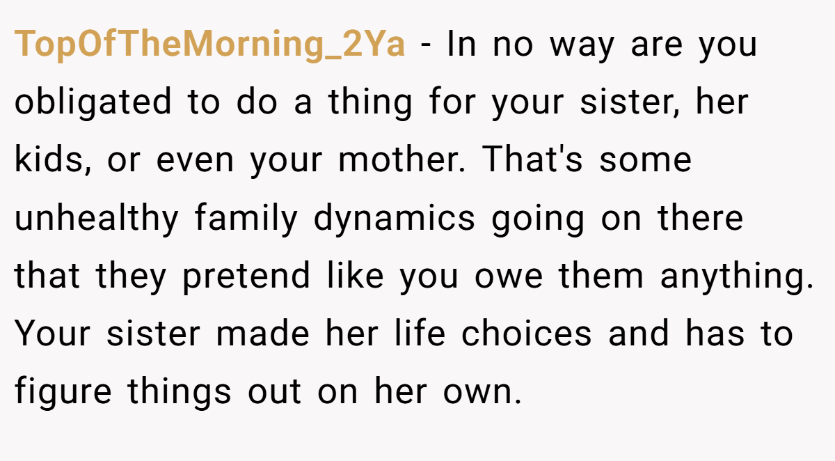 TopOfTheMorning_2Ya − In no way are you obligated to do a thing for your sister, her kids, or even your mother. That's some unhealthy family dynamics going on there that they pretend like you owe them anything. Your sister made her life choices and has to figure things out on her own.