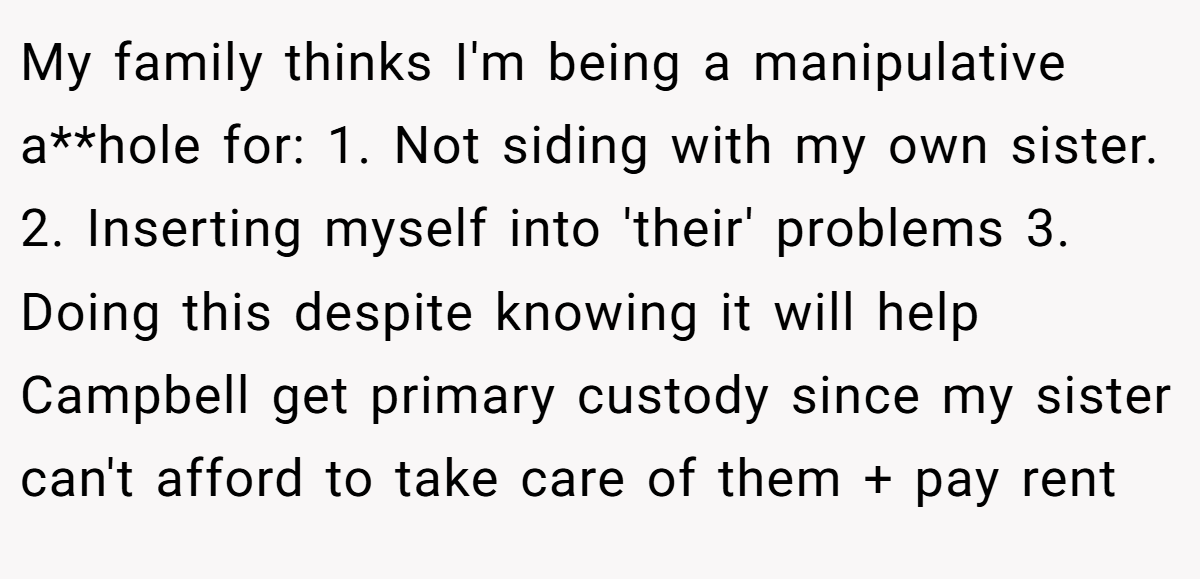 My family thinks I'm being a manipulative a**hole for: 1. Not siding with my own sister. 2. Inserting myself into 'their' problems 3. Doing this despite knowing it will help Campbell get primary custody since my sister can't afford to take care of them + pay rent